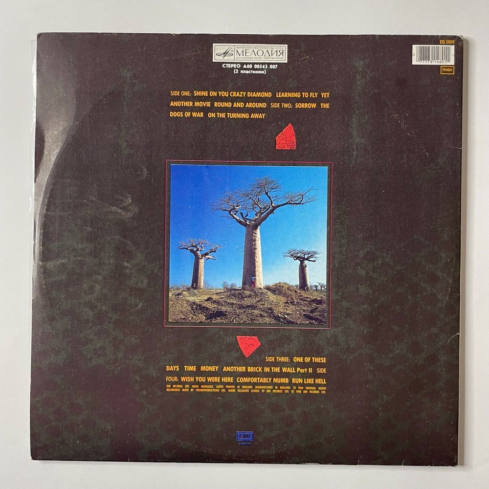 Винтажная виниловая пластинка LP Pink Floyd Delicate Sound Of Thunder (СССР 1990) Апрелевский Завод