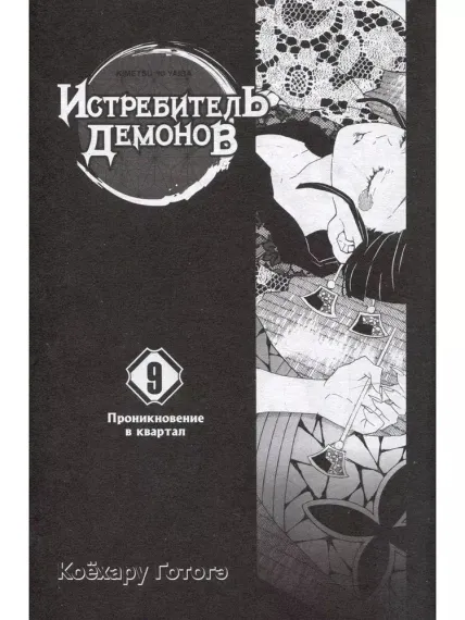 Истребитель демонов. Том 9. Проникновение в квартал