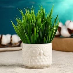 Горшок для цветов «Филин» керамический, 100 мл, 6.5×6.5×5.5 см, цвет МИКС