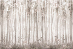 Коллекция Flora