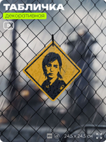 Табличка декоративная "Элли, The Last of Us" на дверь и стену, прикольная штука в подарок геймеру, декоративный знак, 24,5х24,5 см, Айдентика Технолоджи