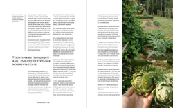 Potager. Стиль практичных садов
