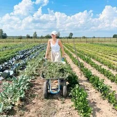 Салат Айсберг Лалик / 100 гр