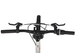 Maxiscoo 3BIKE 20'' L (2025)