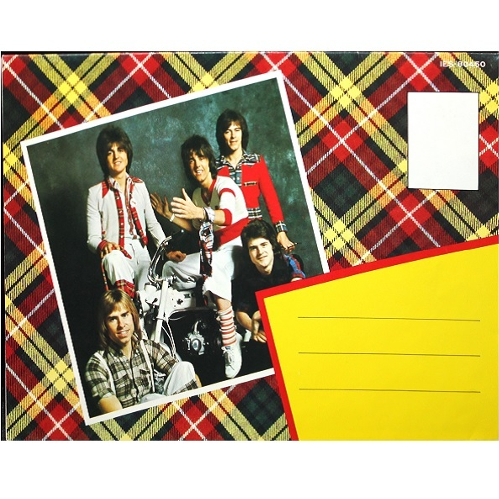 Bay City Rollers / Wouldn't You Like It? (LP)