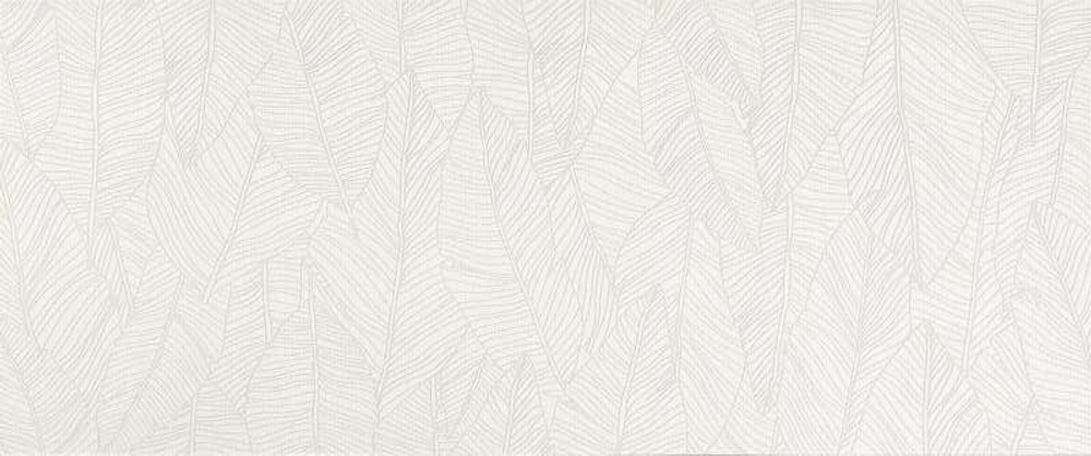 Atlas Concorde Aplomb White Leaf 50x120