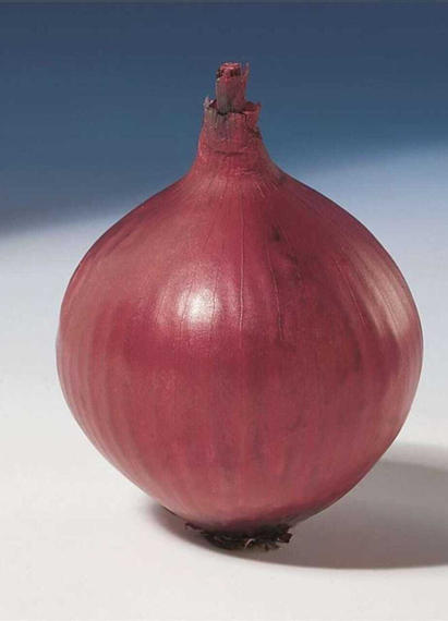 Ред Барон семена лука репчатого продукт – фото 2