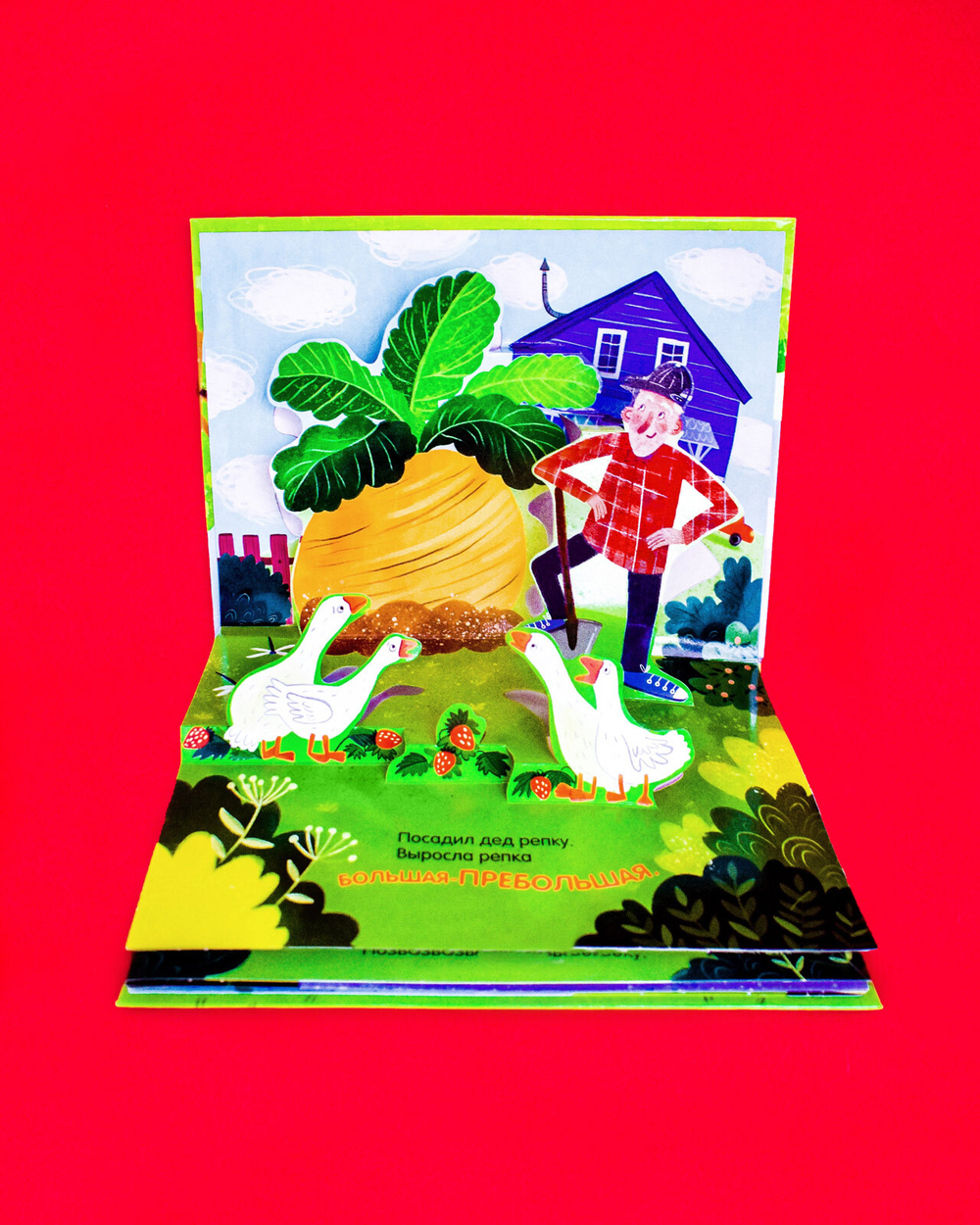 Книжки-панорамки. Репка. Сказка-панорамка