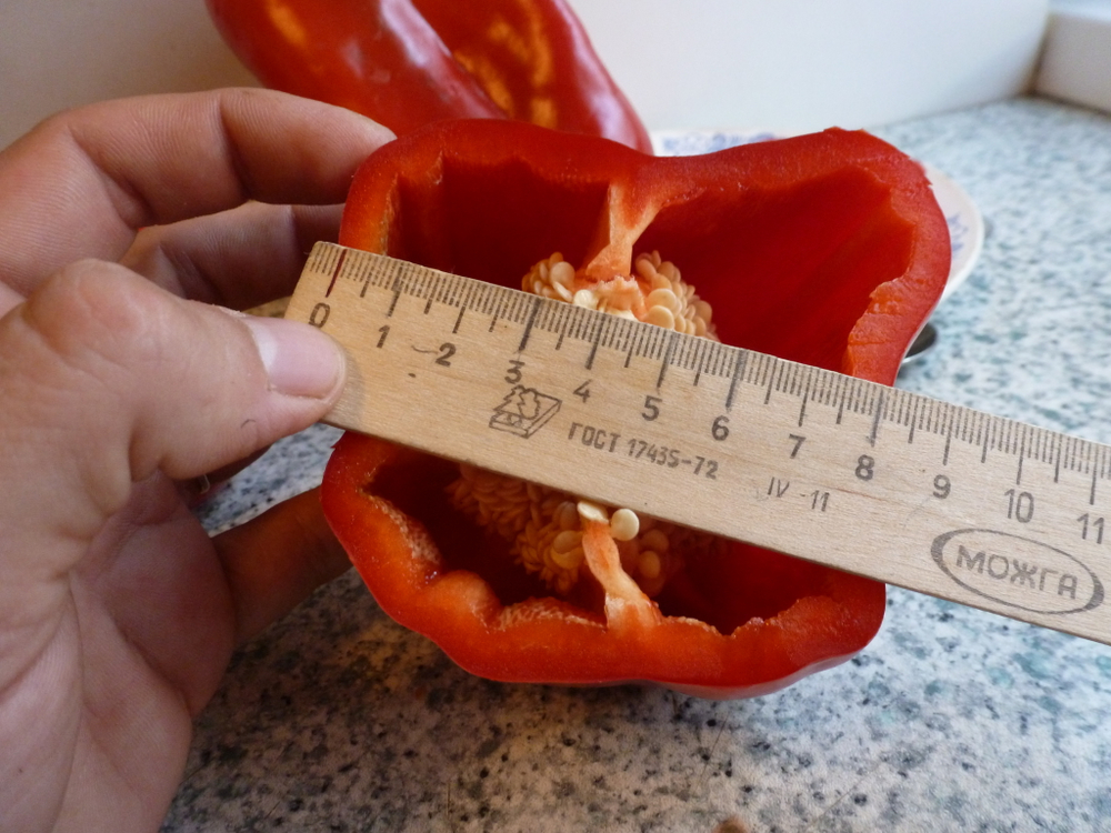 Перец Сладкий Гигантский — Big Bertha - Большая Берта