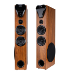 Акустика напольная 2.0 Eltronic ART 20-80 Home Sound 2шт.уп.