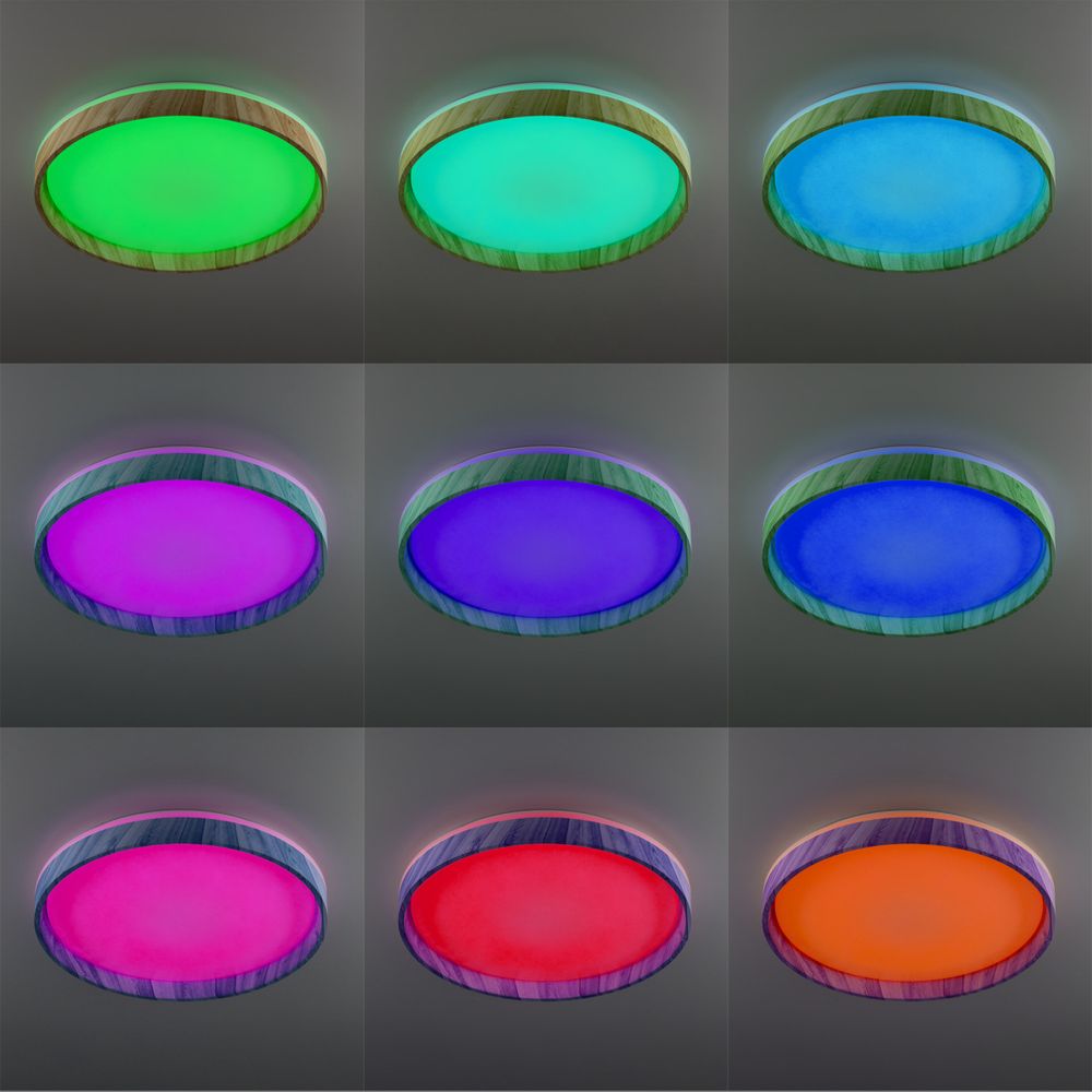 Citilux ENZO CL753452G LED RGB Светильник с пультом Клён