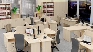 Офисная мебель Стандарт-Pro дуб выбеленный