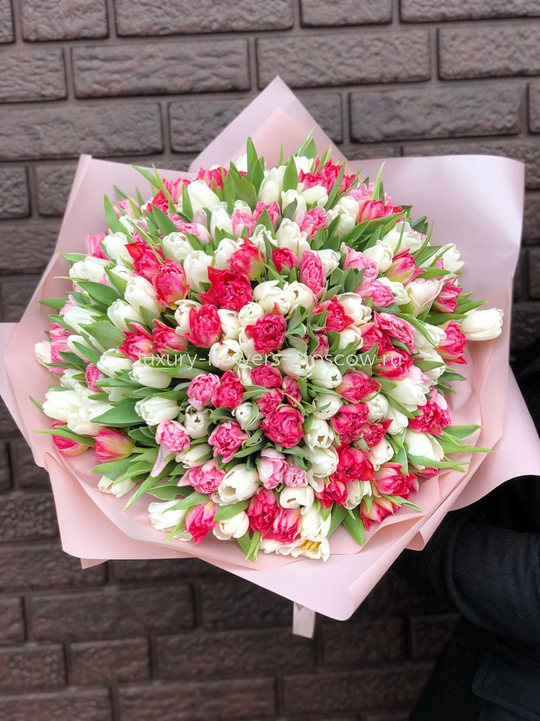 201 пионовидный тюльпан микс 45