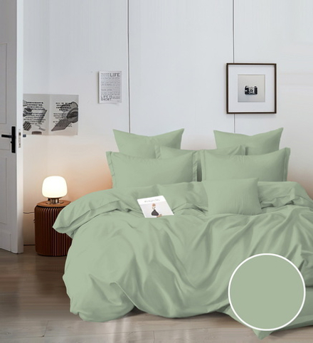 КПБ 2 сп ПОПЛИН "П35"