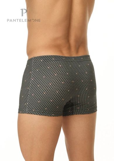 Трусы мужские боксеры Pantelemone PMH-1368, треугольники серо-зеленые