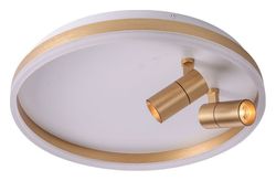 Накладной светильник Zortes Raizy ZRS.1888.02