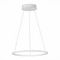 Подвесной светодиодный светильник ST Luce ST604.543.22