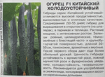 Огурец Китайский Холодоустойчивый F1 0,2 г СМО77