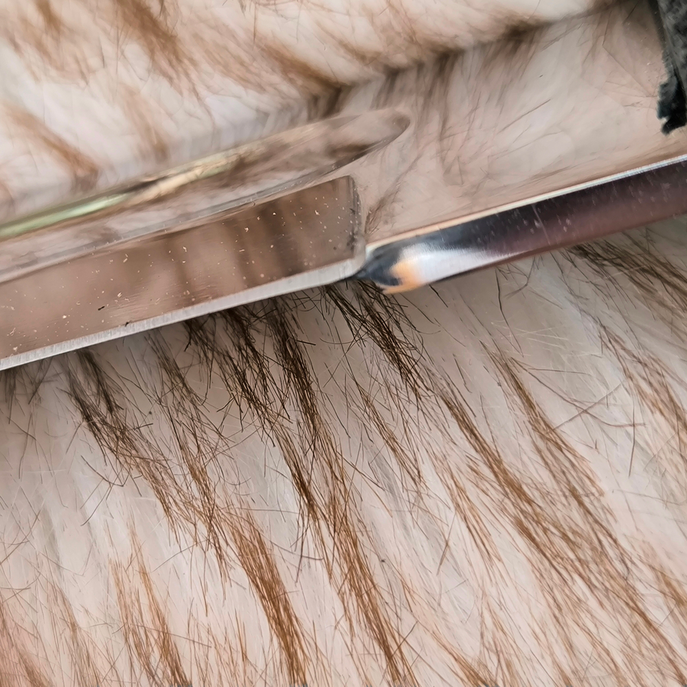 Шашка казачья нижних чинов, образца 1881 года Кизляр