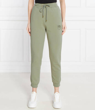 Спортивные штаны Pinko - фисташковый(100371 A1N7)