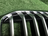 Решетка радиатора BMW X7 G07 (2019-2022)