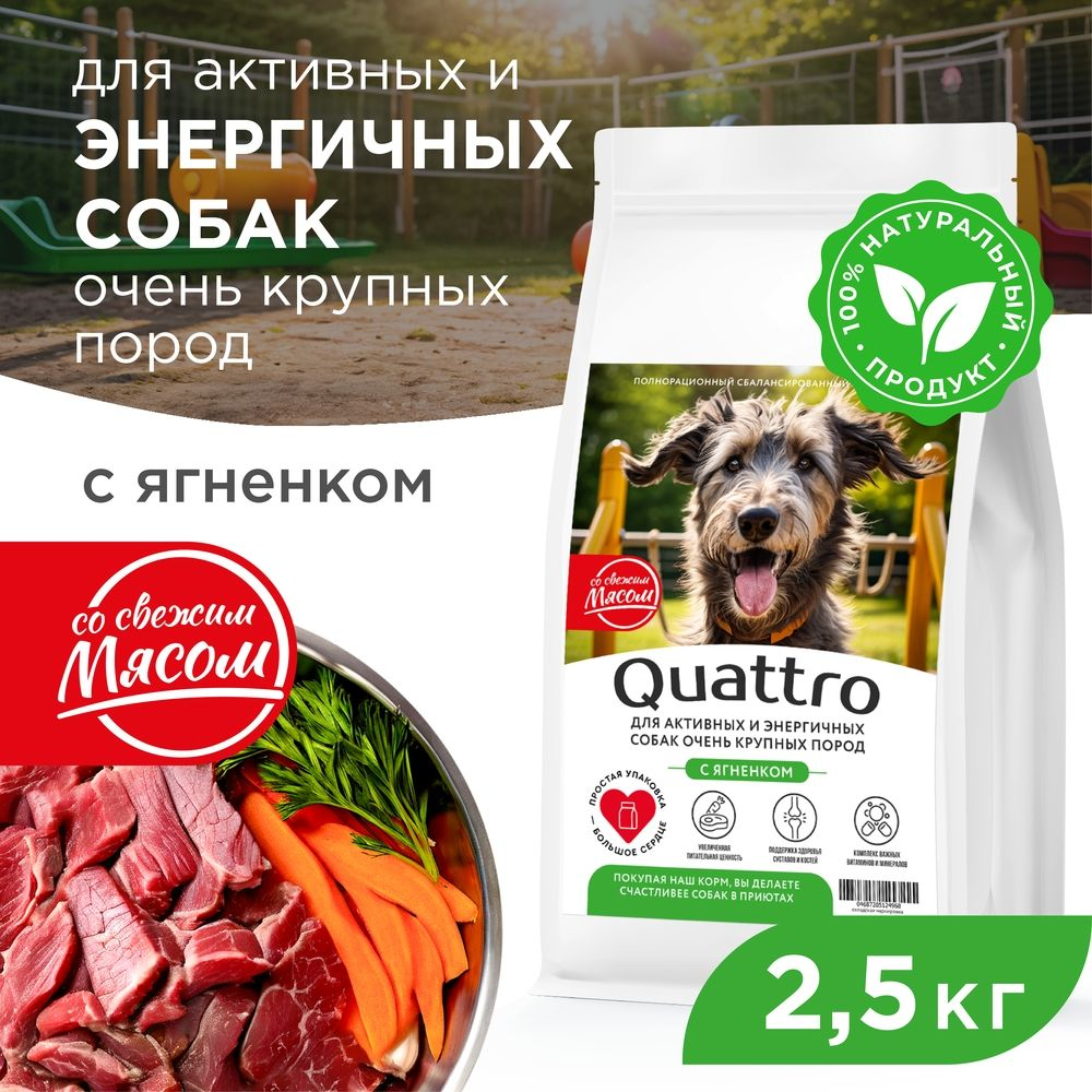 Корм сухой для взрослых собак очень крупных пород, премиум полнорационный комплекс, для активных и энергичных, с ягненком, 2,5 кг, QUATTRO