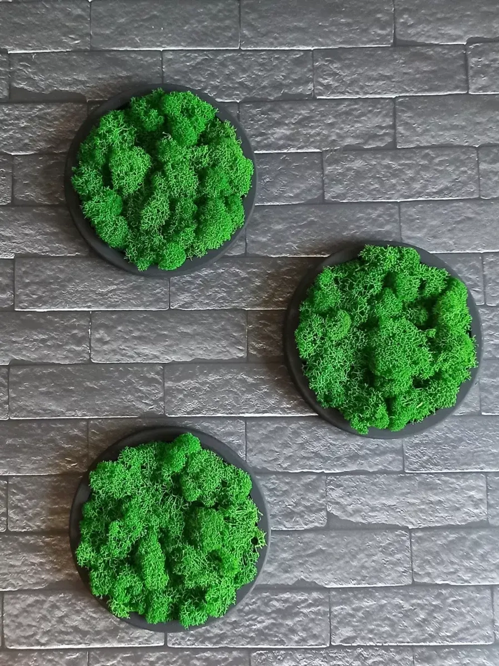 Панно из мха набор 3 шт.