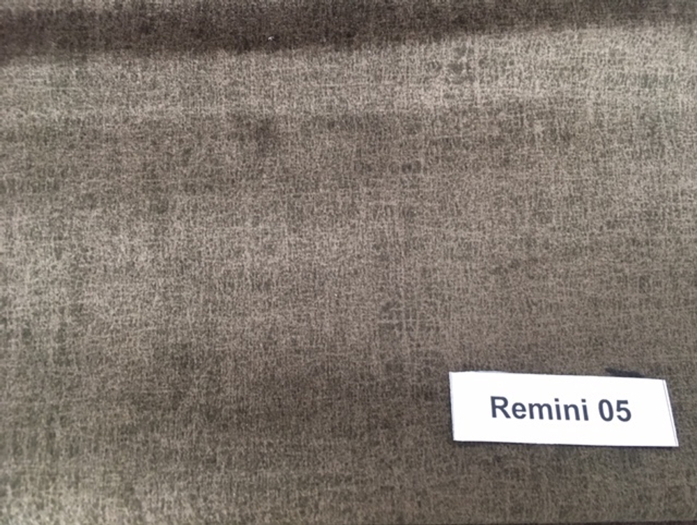 Remini 05