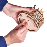 Танцующие балерины от WoodTrick Сборная модель музыкальной шкатулки - деревянный конструктор, 3D пазл