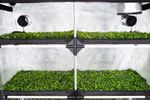 Гроутент для рассады GARDEN HIGHPRO PROBOX PROPAGATOR XL