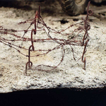 Паста для моделирования AK Interactive Terrains Dry Ground 250ml