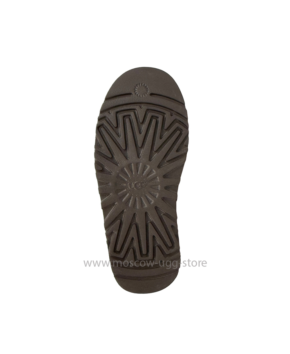 TAZZ - Caspian Burnt Cedar