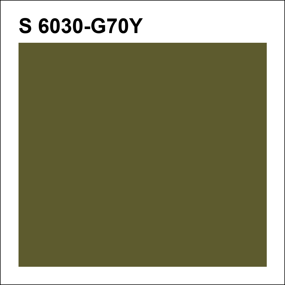 S 6030-G70Y за кг