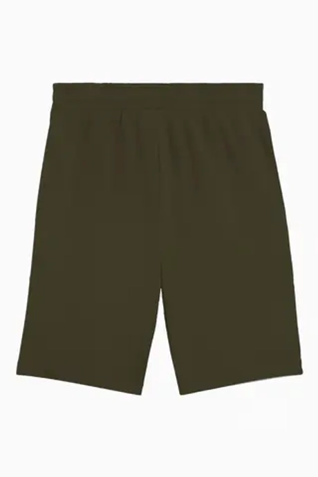 Шорты Puma Essentials 2 Color No. 1 Logo - зеленый