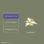 Свеча ароматическая enchanted forest, eль, 40 ч