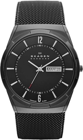 Наручные часы Skagen SKW6006