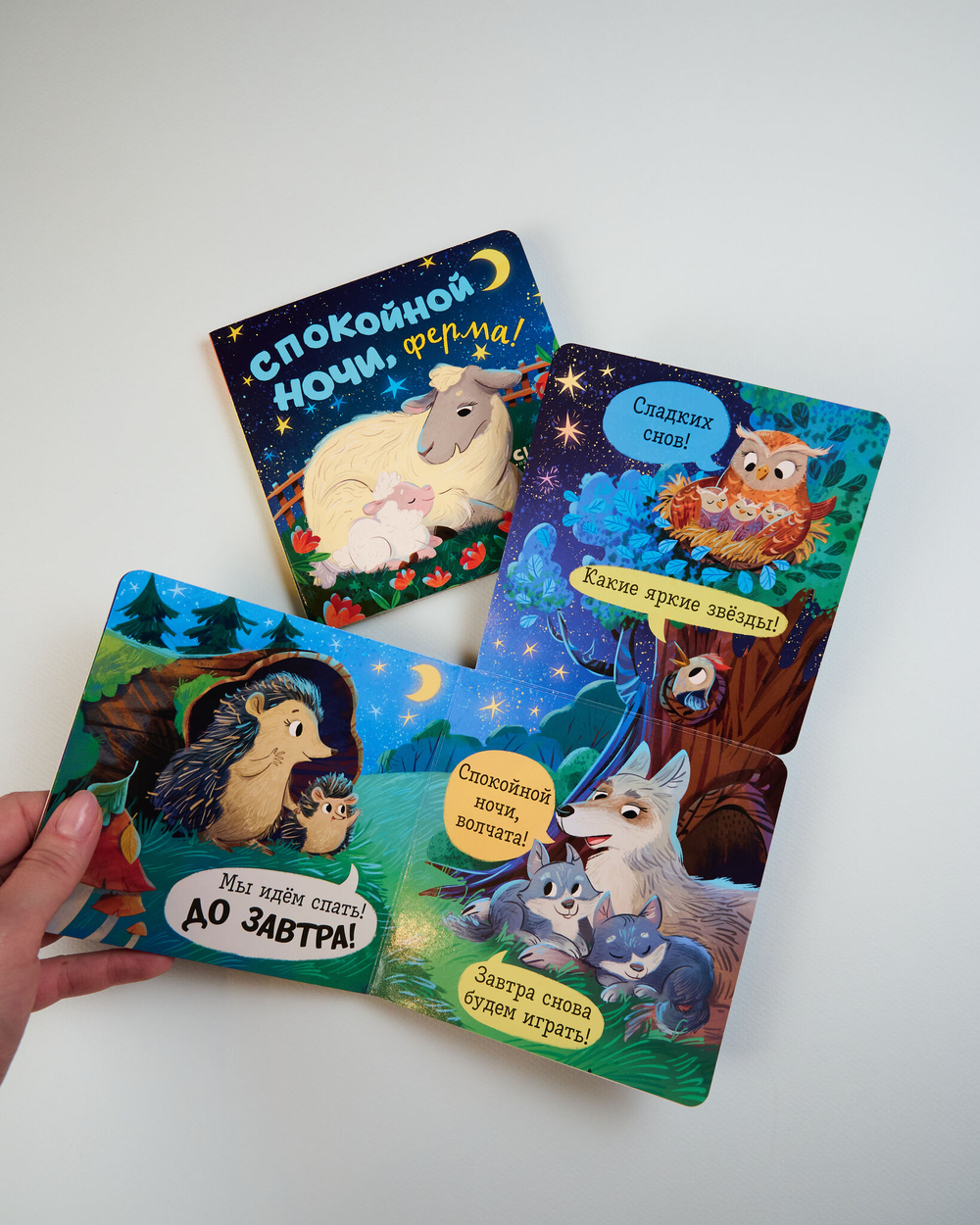 Комплект книжек-раскладушек, 2 книги