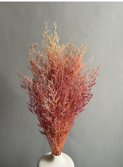 Кермек светло-розовый