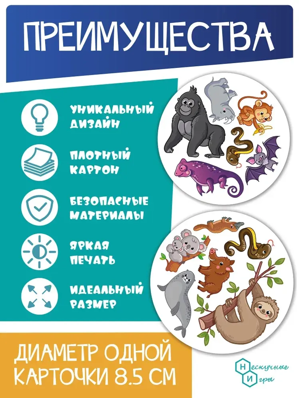 Настольная игра «Дубль детский Птицы и Насекомые»