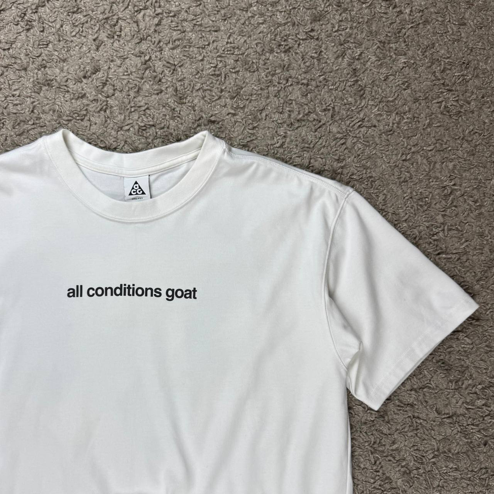 Футболка Nike ACG Goat