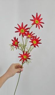 Красный/бордо