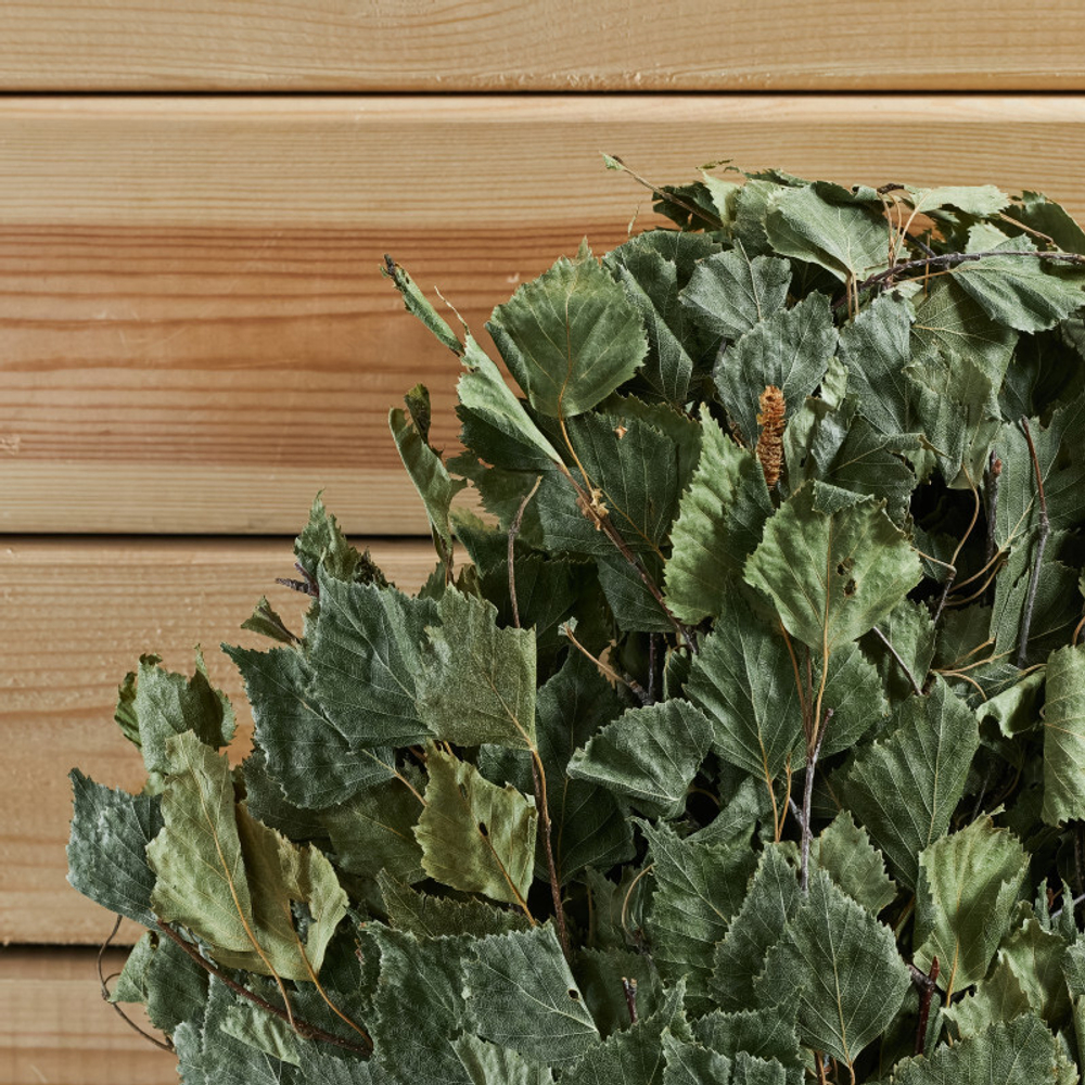 Веник берёзовый «Профессиональный» (обмот. ручка резинкой)_2.jpg Веник берёзовый «Профессиональный» (обмот. ручка резинкой)_2.jpg