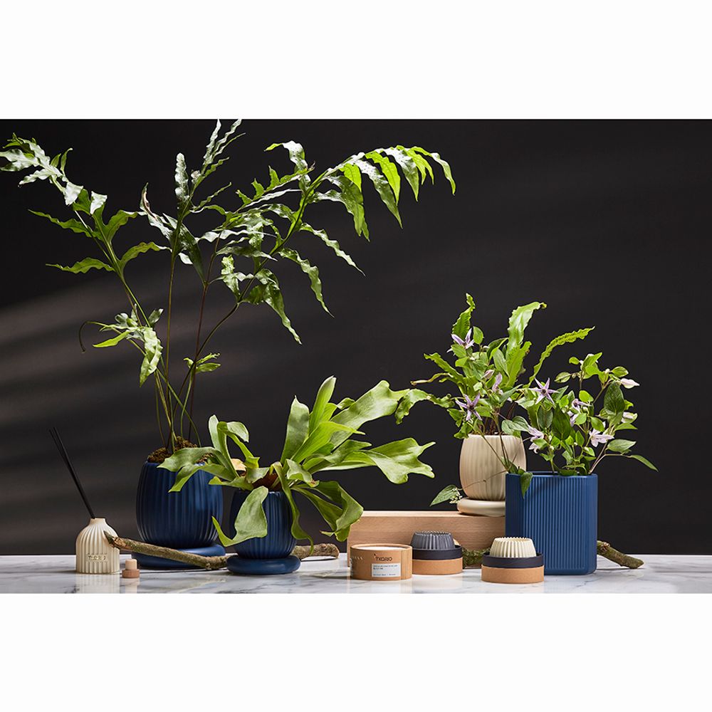 Диффузор ароматический Cypress, Jasmine &amp; Patchouli из коллекции Edge, 200 мл, бежевый