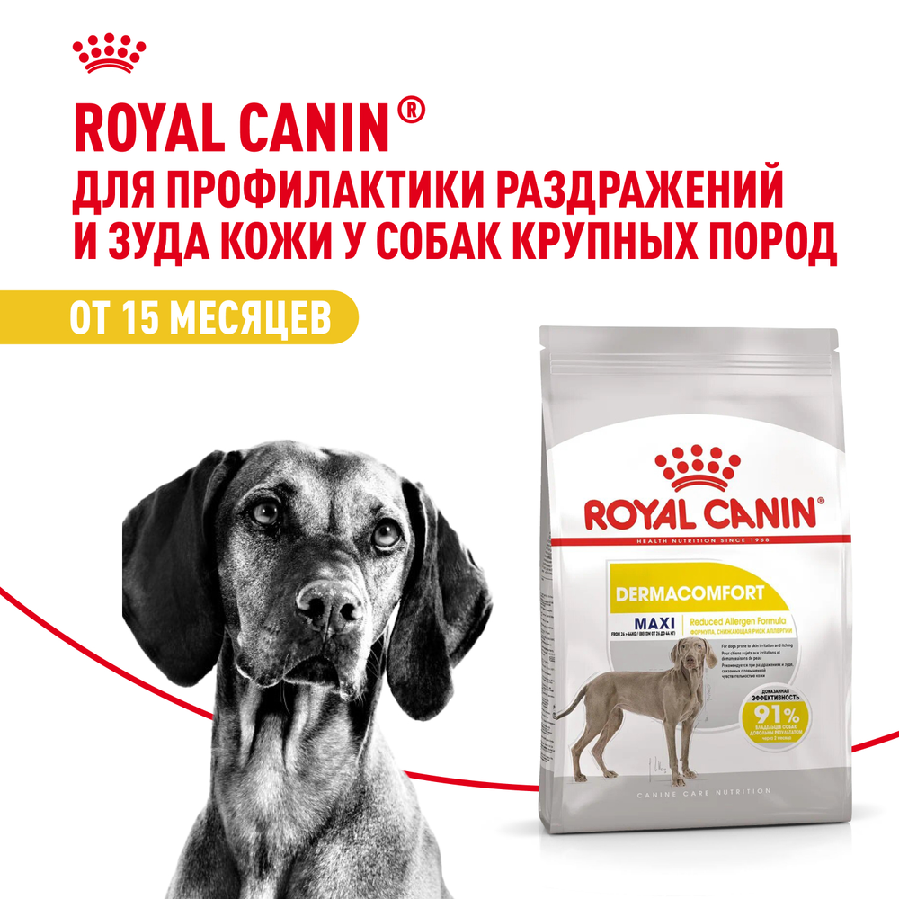 Royal Canin Maxi Dermacomfort Макси Дермакомфорт Корм сухой для взрослых собак крупных размеров при раздражениях и зуде кожи 10кг