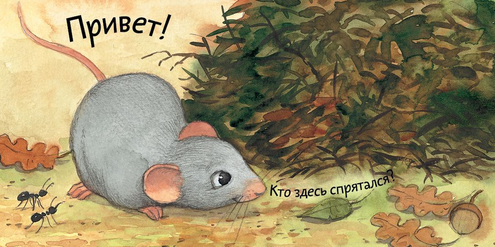 Вжух! Кто где живет?