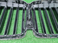 Решетка радиатора BMW X7 G07 (2022-н.в.)