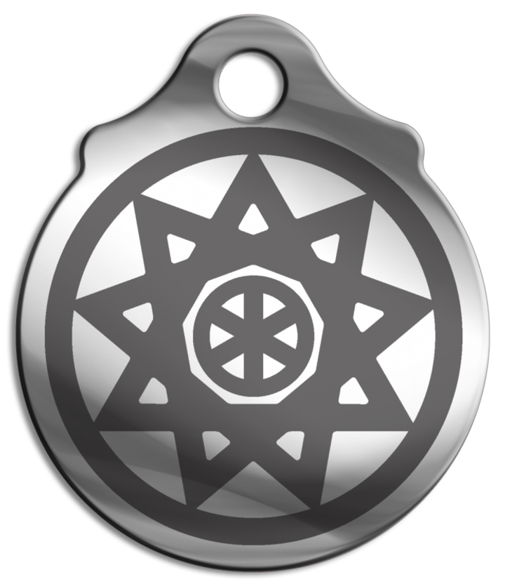 Амулет Славянский зодиак № 13 Чертог Финиста, медицинская сталь