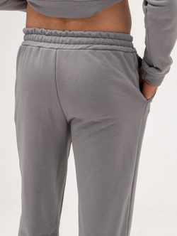 Костюм мужской спортивный (без начеса) Грей