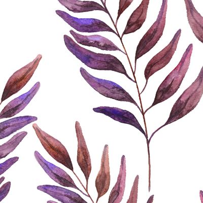 тропические листья