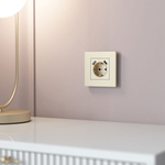 W0012911/ Рамка на 1 пост Slab (шампань софт) W0012911